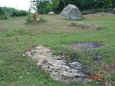 STECCI BREZA 016