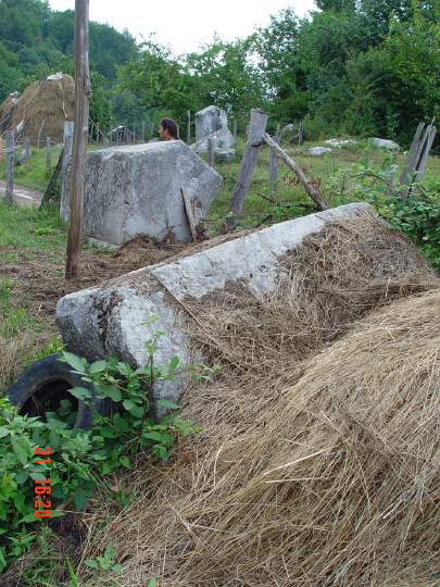 STECCI BRGULE 005