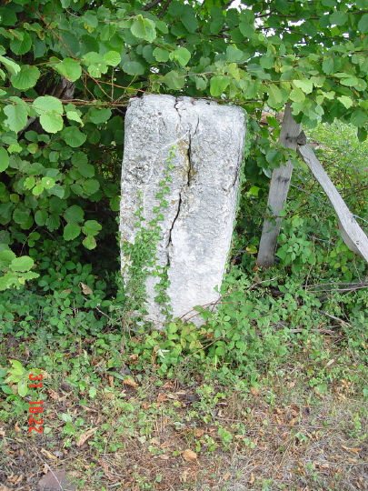 STECCI BRGULE 010