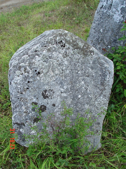 STECCI BRGULE 012