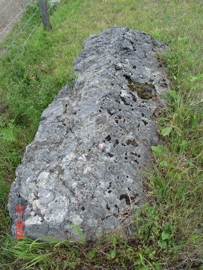 STECCI BRGULE 016