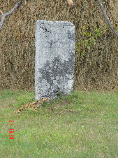 STECCI BRGULE 017