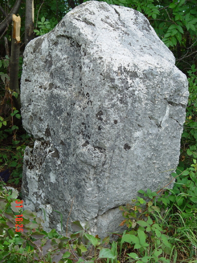 STECCI BRGULE 018