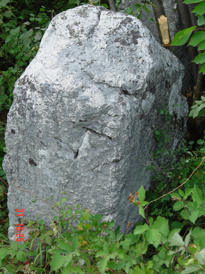 STECCI BRGULE 019