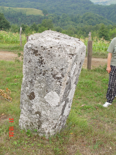 STECCI BRGULE 024