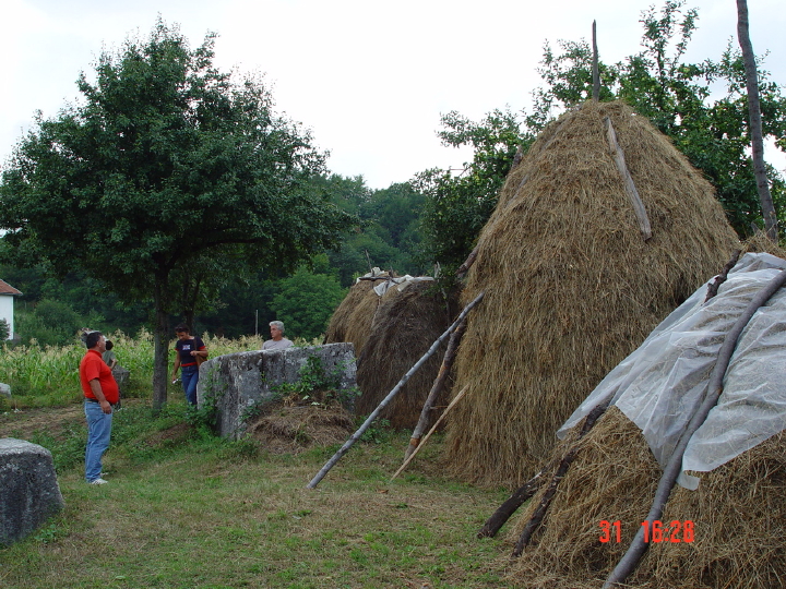 STECCI BRGULE 031