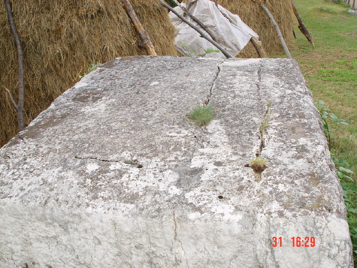 STECCI BRGULE 035