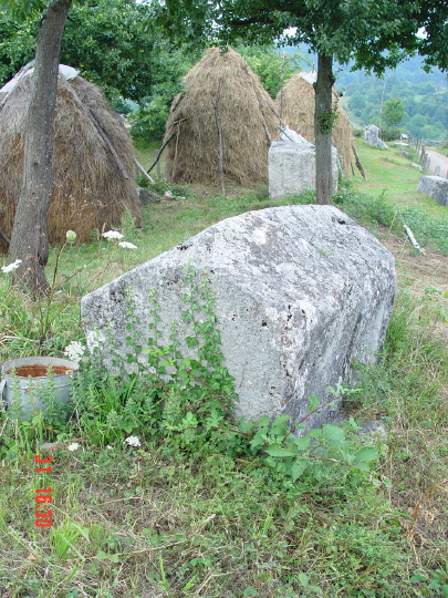 STECCI BRGULE 037