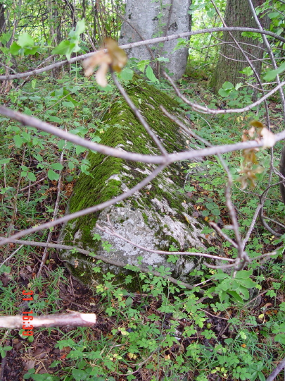 STECCI BRGULE 051