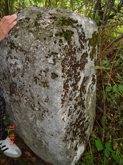 STECCI BRGULE 053