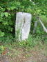 STECCI BRGULE 010