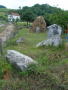 STECCI BRGULE 011