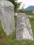 STECCI BRGULE 015