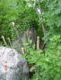STECCI BRGULE 020