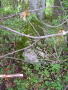 STECCI BRGULE 051