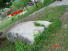 STECCI BRGULE 063