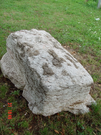 STECCI ĐURĐEVIC ECOLE - ŠKOLE (2005 GODINA) 005