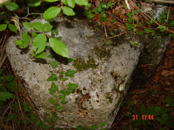 STECCI KLESNJE 066