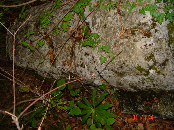 STECCI KLESNJE 067