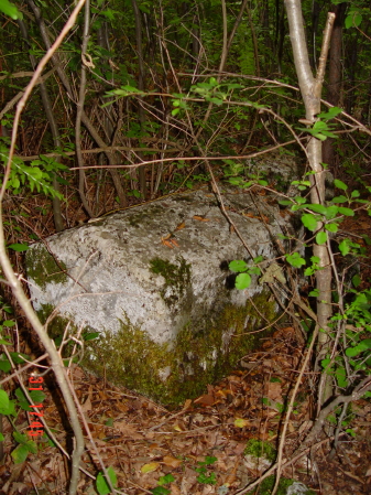 STECCI KLESNJE 068
