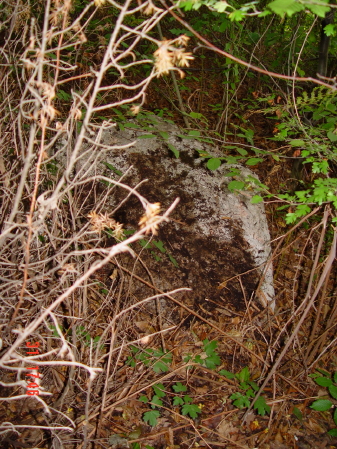 STECCI KLESNJE 073