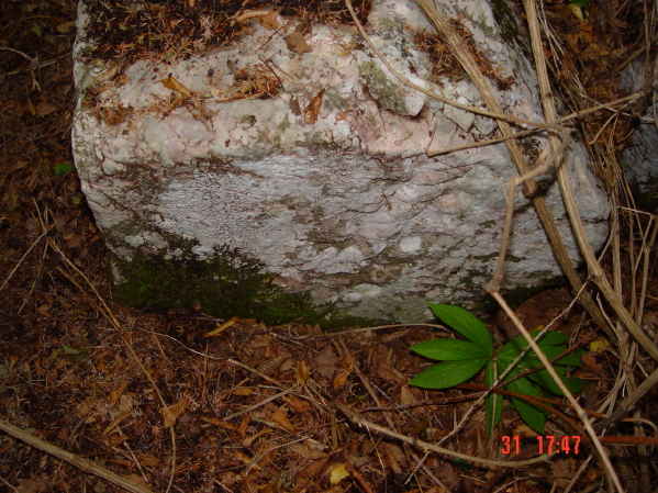 STECCI KLESNJE 074