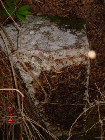 STECCI KLESNJE 075