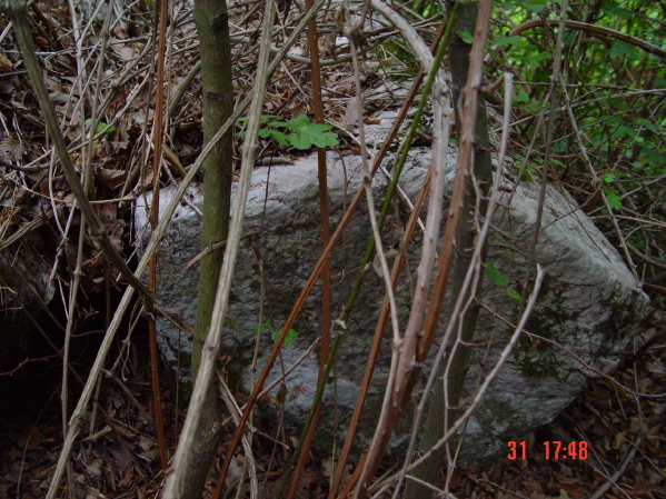 STECCI KLESNJE 078