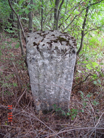STECCI KLESNJE 082