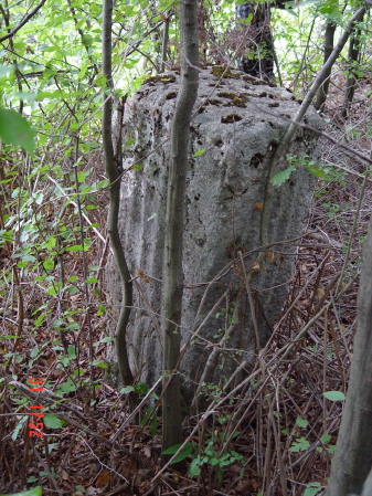 STECCI KLESNJE 085