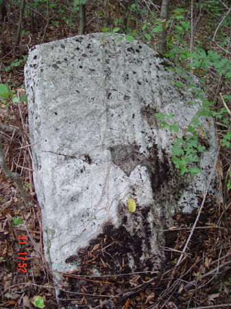 STECCI KLESNJE 086