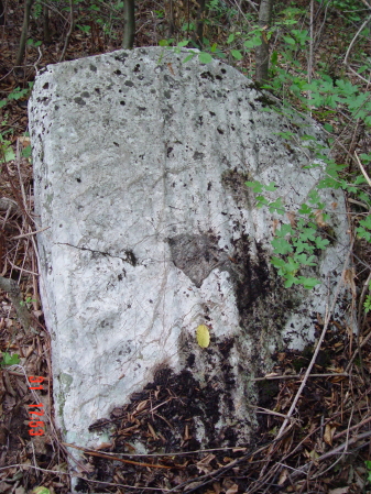 STECCI KLESNJE 088