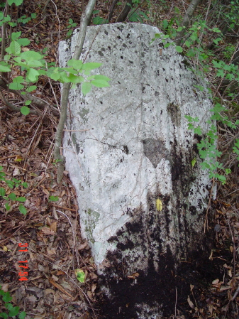 STECCI KLESNJE 090