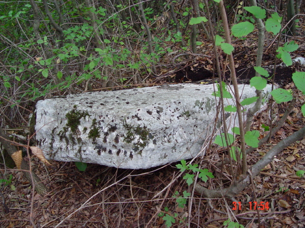 STECCI KLESNJE 091