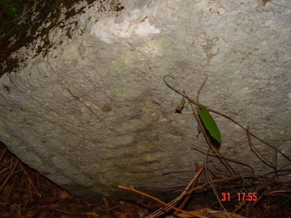 STECCI KLESNJE 094
