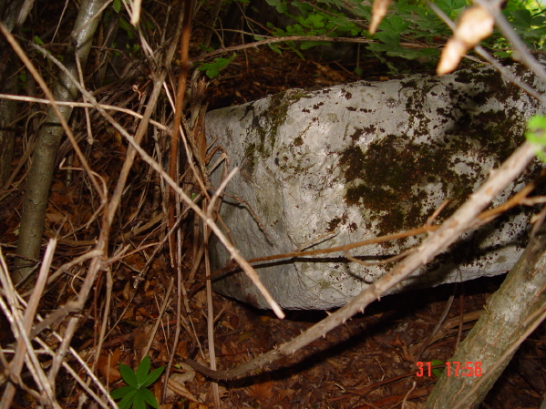 STECCI KLESNJE 095