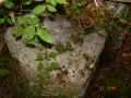STECCI KLESNJE 066