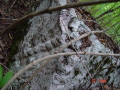 STECCI KLESNJE 077