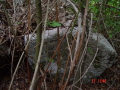 STECCI KLESNJE 078