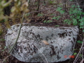 STECCI KLESNJE 079
