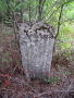 STECCI KLESNJE 082