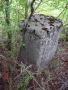 STECCI KLESNJE 083