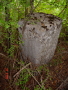 STECCI KLESNJE 084