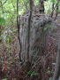 STECCI KLESNJE 085
