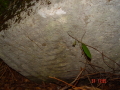 STECCI KLESNJE 094