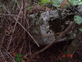STECCI KLESNJE 096