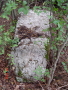 STECCI KLESNJE 098