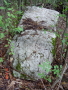STECCI KLESNJE 099
